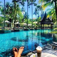 Отзыв от Жанна - DTV виза